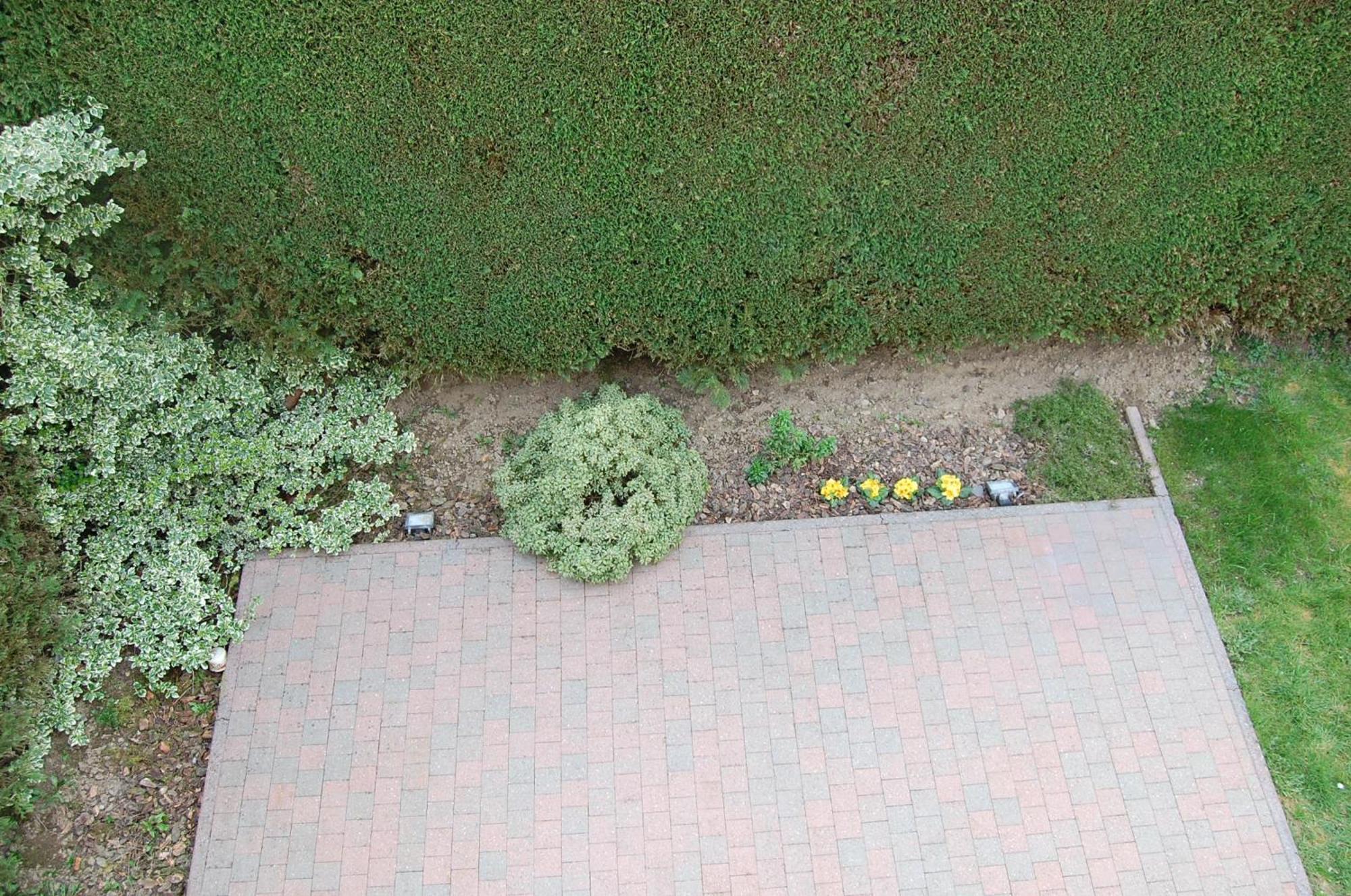 B&B Des Bois Sans Nombre Paliseul Екстериор снимка